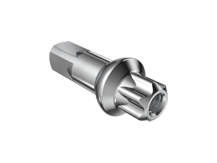 DT SWISS Nipple Squorx Pro Head Pro Lock Brass - Silver