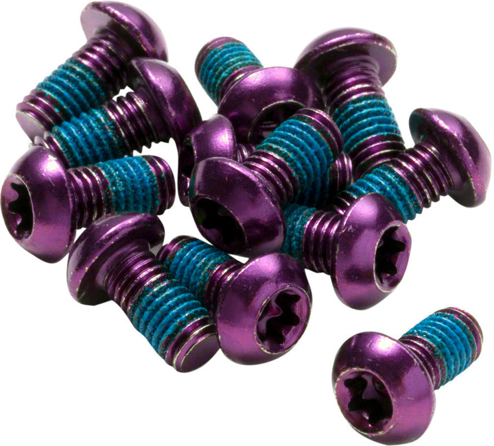 Reverse Disc Rotor Bolt Set, 12 pcs