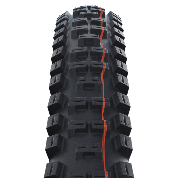 SCHWALBE Big Betty - Evolution Line