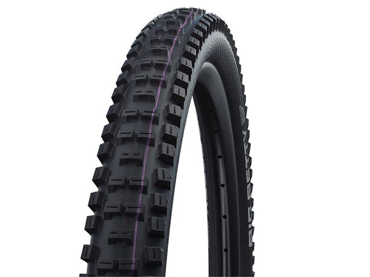 SCHWALBE Big Betty - Evolution Line